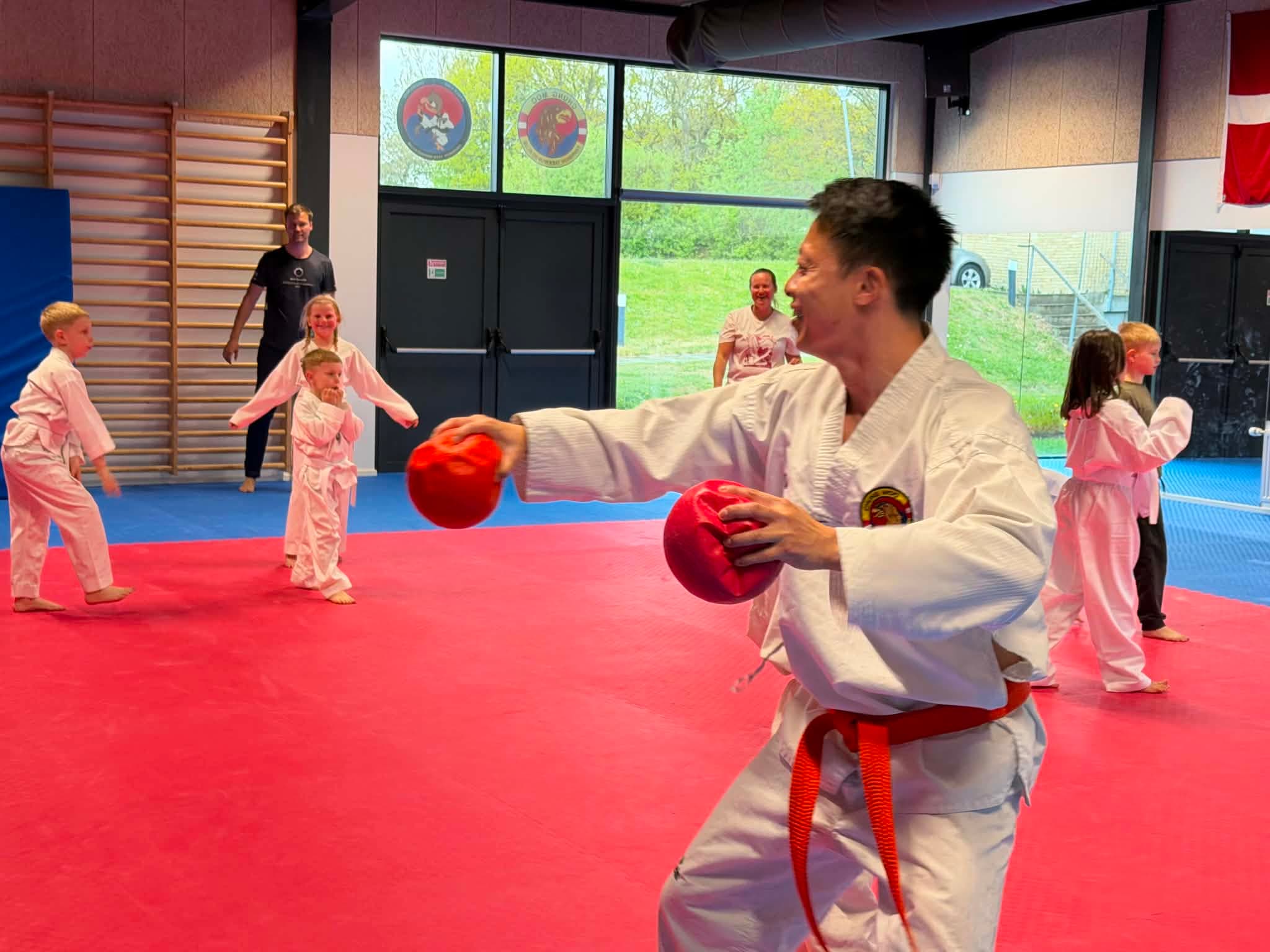 Taekwondo-bold