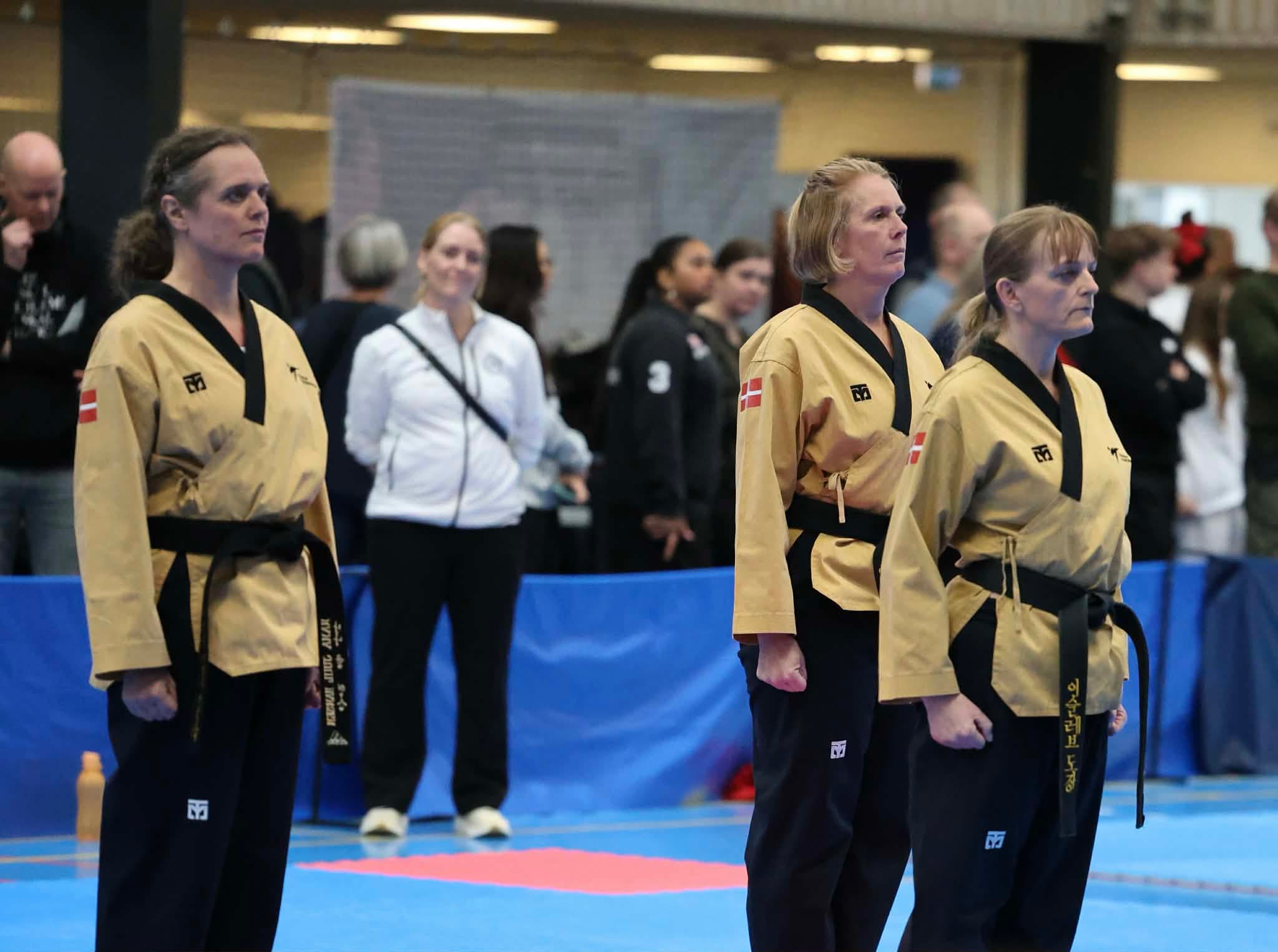 Tommerup Cup 2026 - Holdet