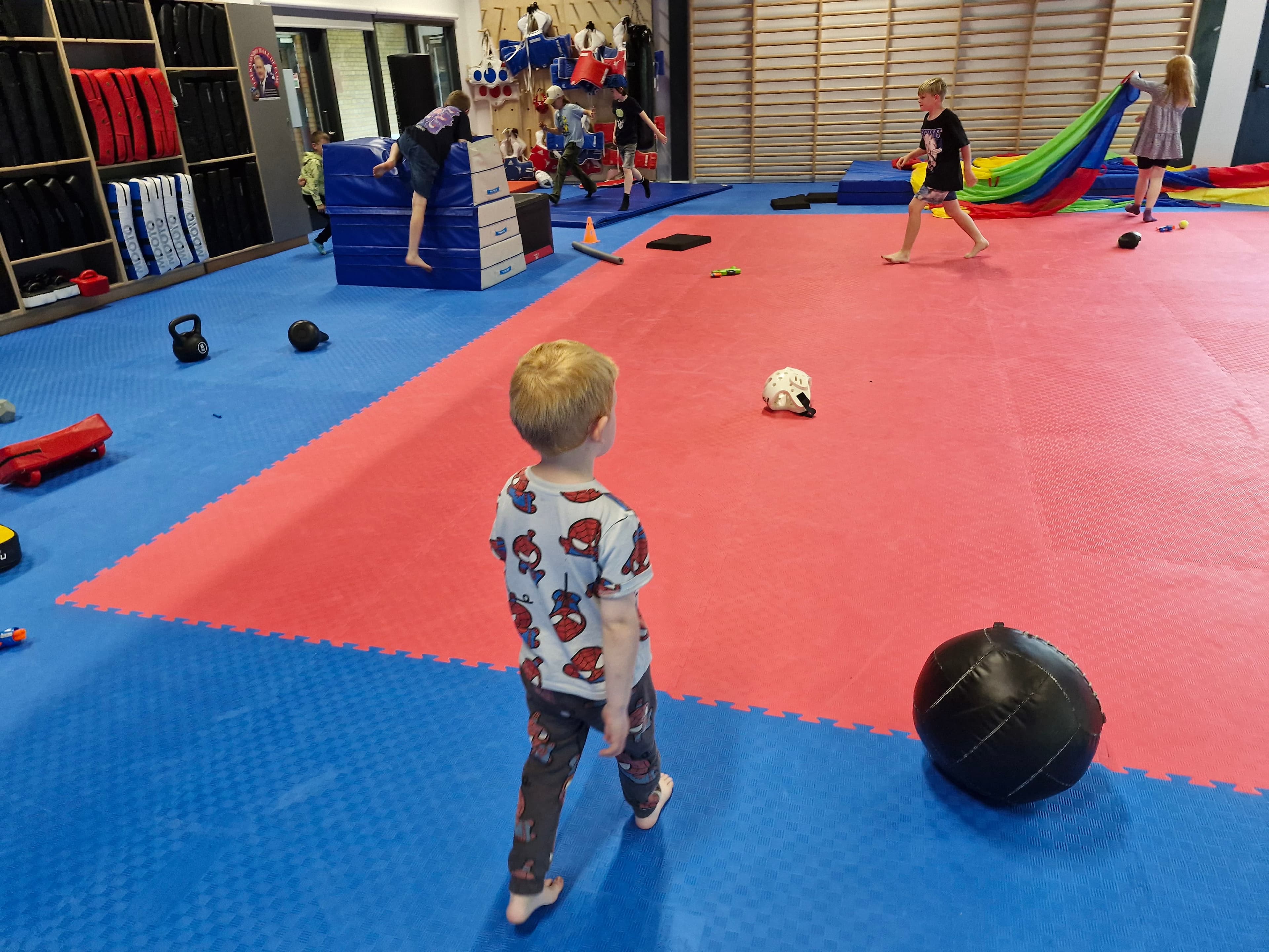 Leg i dojang